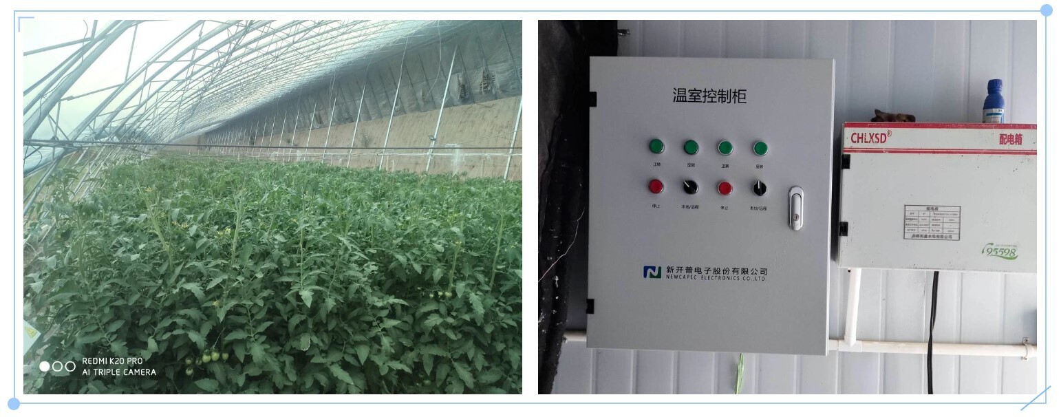 翁牛特旗园区智慧大棚项目，交出现代农业的“亮眼答卷”！(图4)